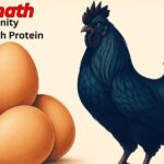 kadaknath